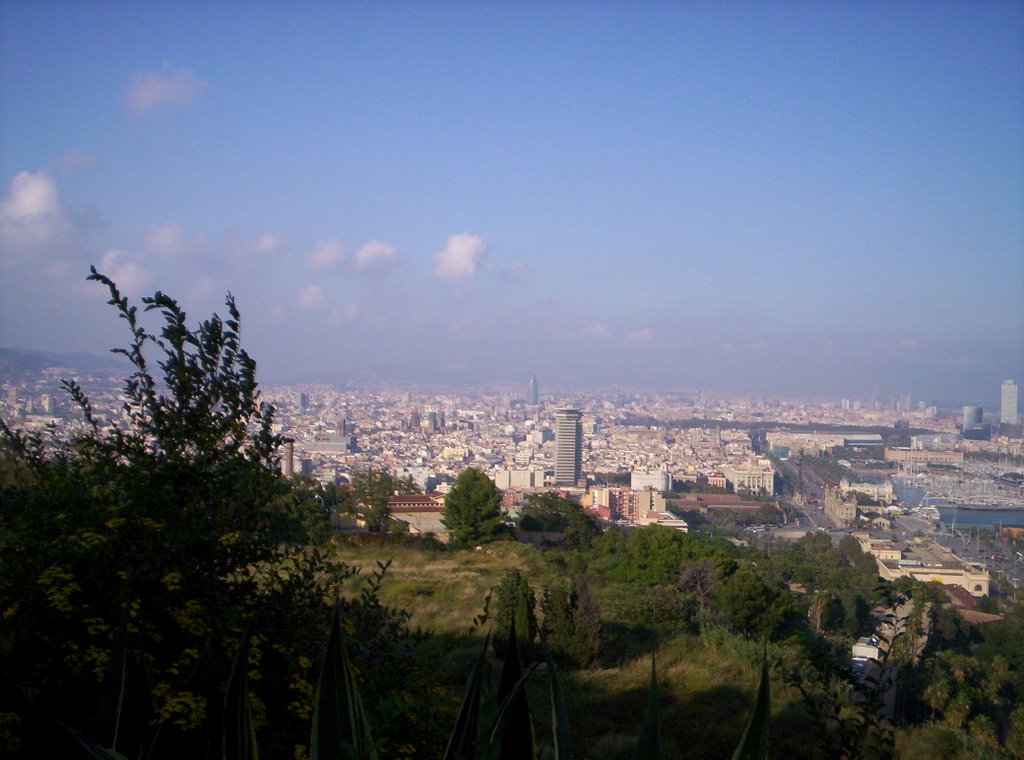 Panorama di Barcelona (Espana) by faultylove