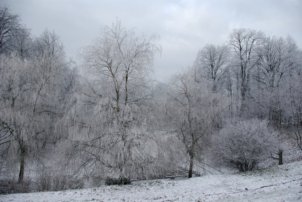 Frost in park of manor by Antanas Kairys