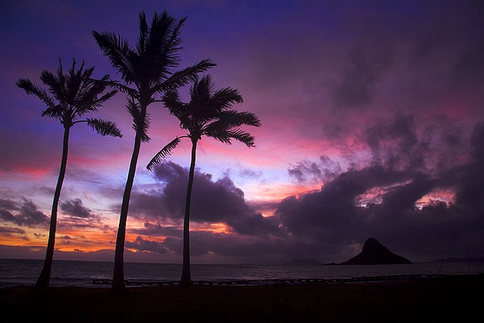 Oahu Sunrise by NobleNR