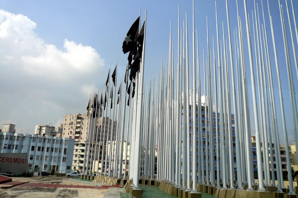 Black Flags in Havana by radwoc