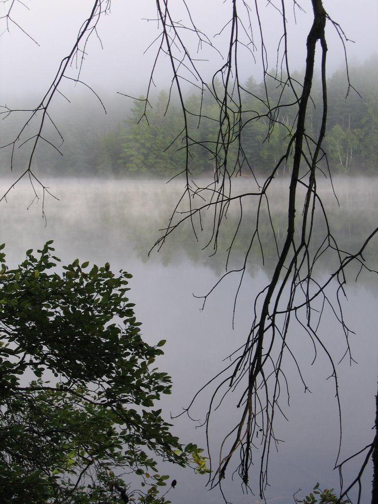 Misty morning at Long Pond, NY by oliversp