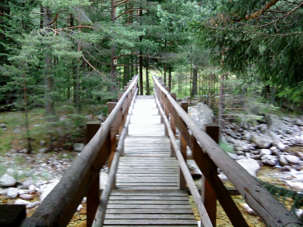 Near Borovets by Miro V. M.