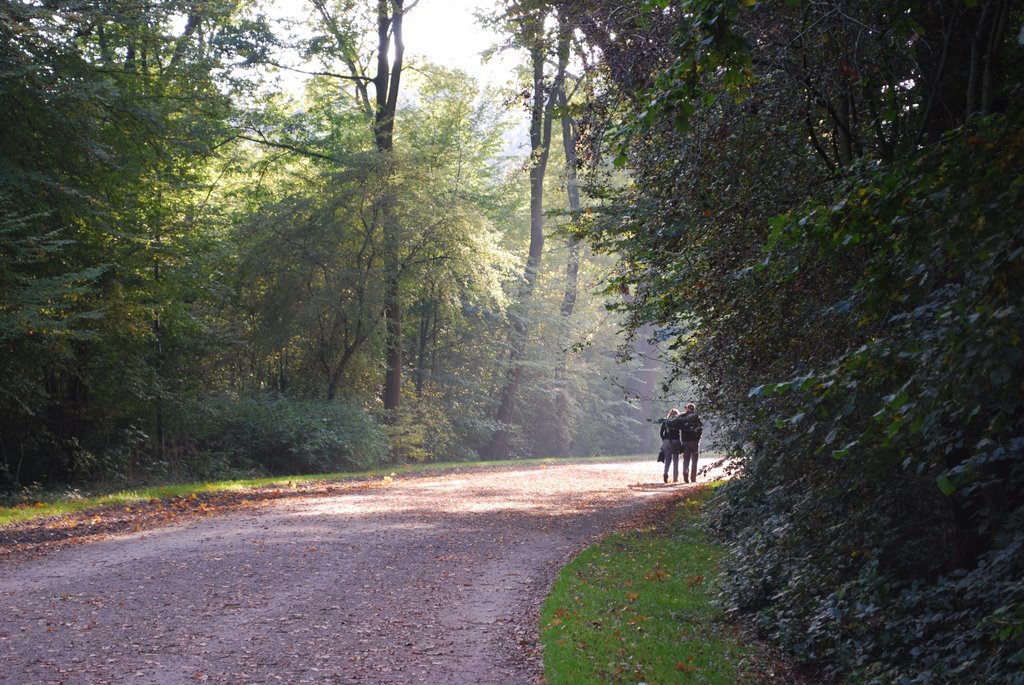 Weg im Bürgerpark by cortex1