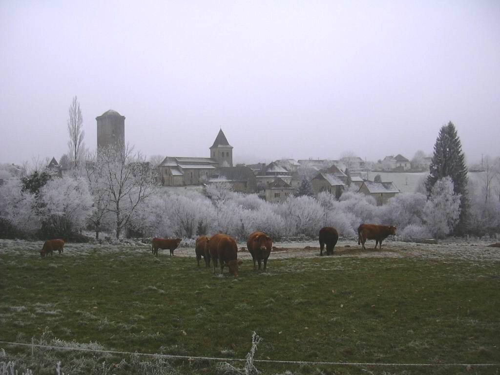 Journée de givre à Teyssieu by Pierre Durand