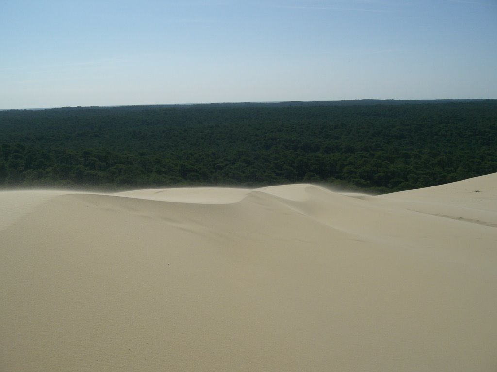 Dune du Pilat (septembre 2008) by R.T.2