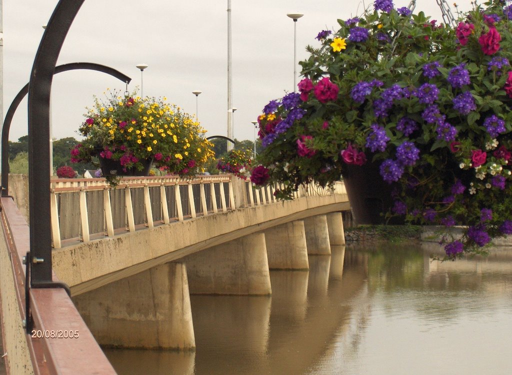 Limerick - Ponte sullo Shannon by paoldeiana