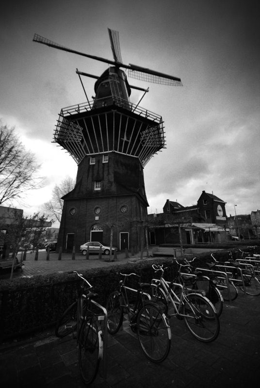 Amsterdam Windmill by Marek Koszorek www.wild-art.eu