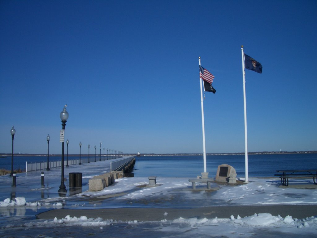 THE MERCHANT MARINERS MEMORY IN WWII by Richard Cao