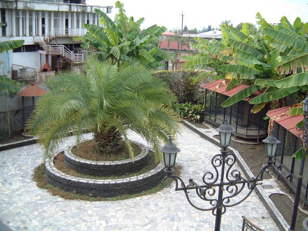 VETERINARY CLINIC,ZUGDIDI by khasaia