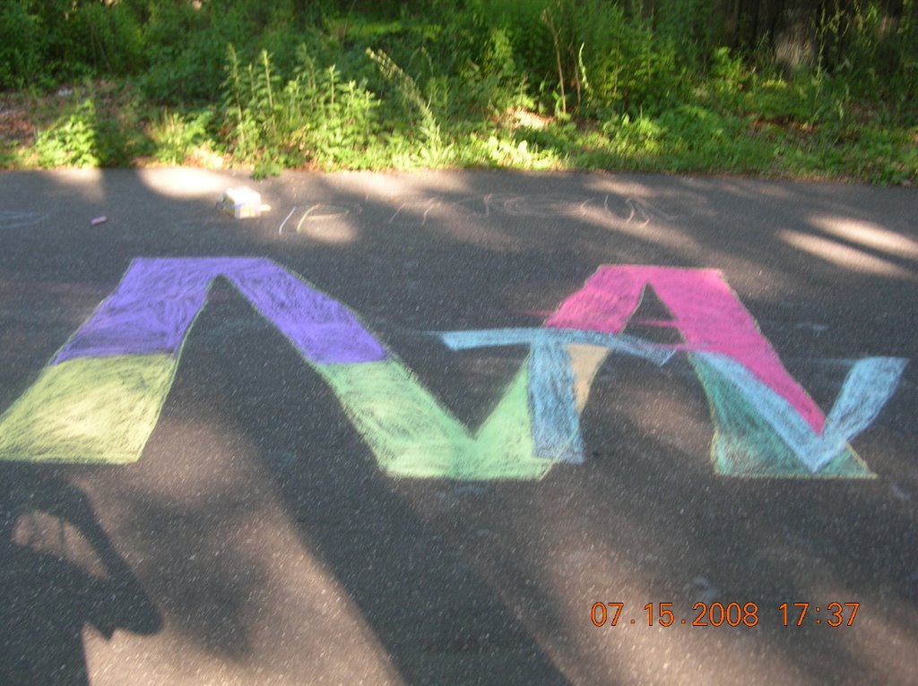 Mtv chalk masterpiece by beach bum 11