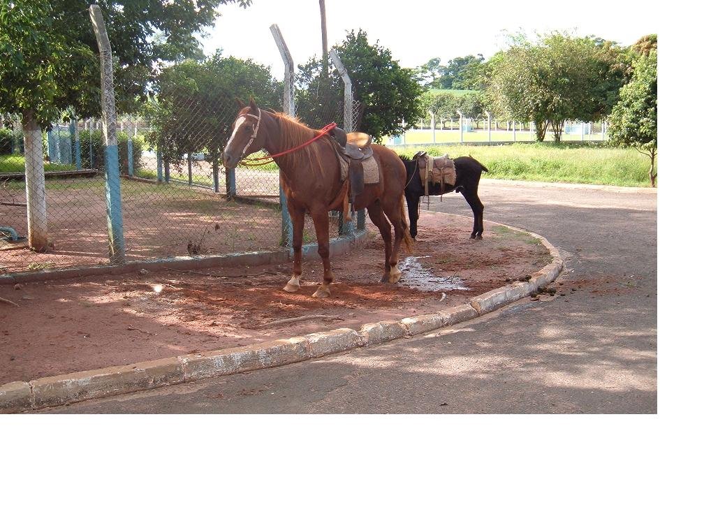 ESQUINA DO CAMPO COM ANTIGA CASA DO BELIZARI - SILVANIA - MATÃO -SP. by Leonélio Cichetto