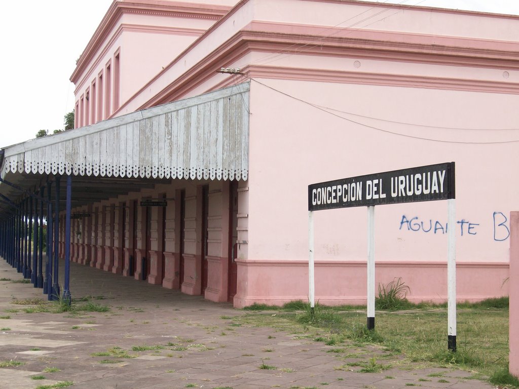 Estación de trenes C. del U. ER. by Eugenio Labina