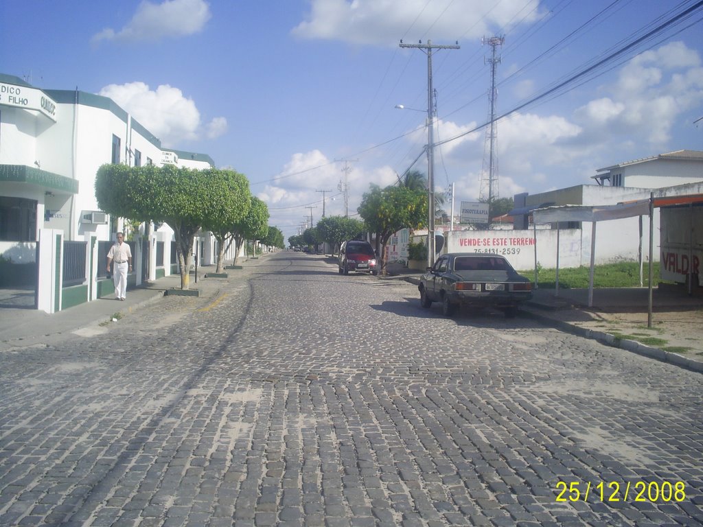 Rua Arborizada by josealbanei