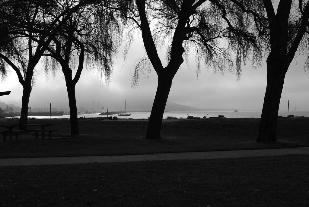 Winter Morning at Golden Gardens by C. Harmon