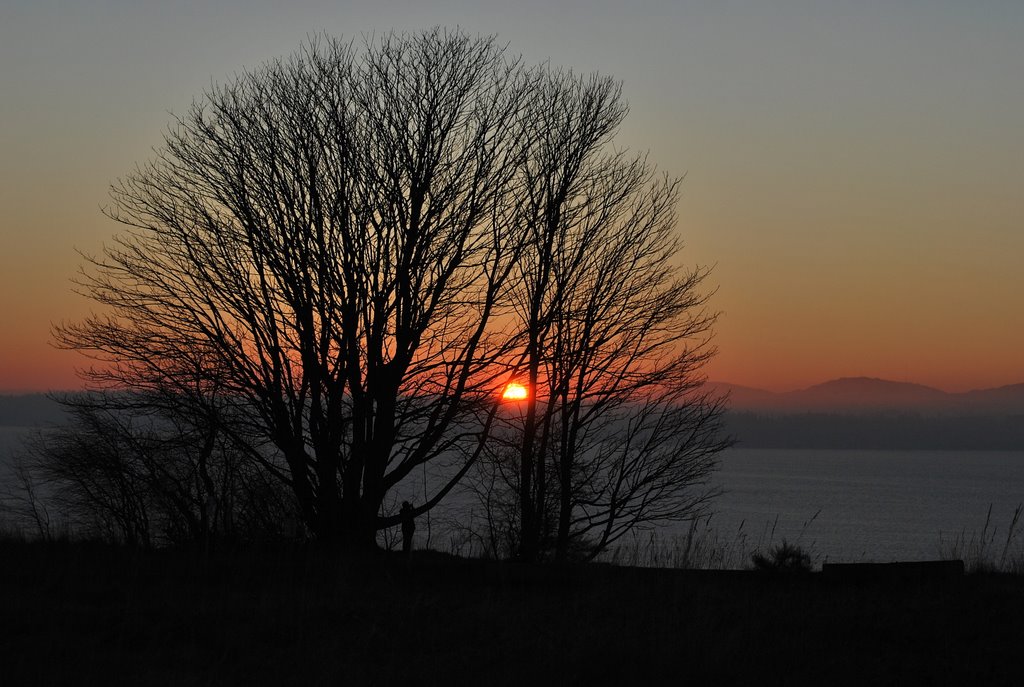 Discovery Park Sunset by C. Harmon