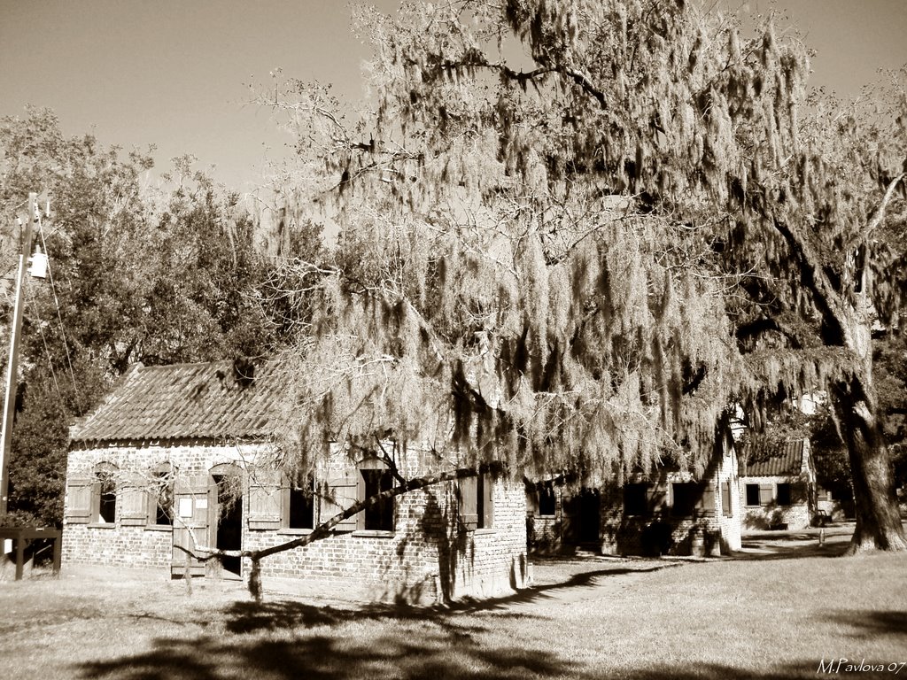 Cabins of Slaves, Boone Hall Plantation by Maria Pavlova