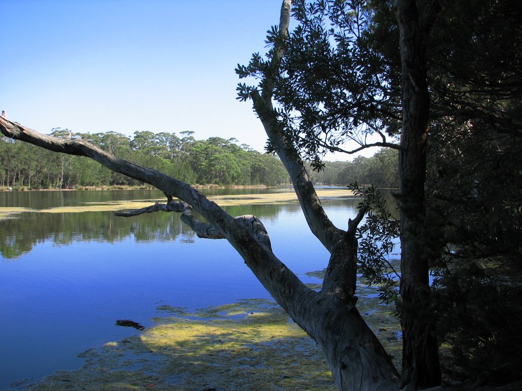 Lake Tabourie1 by dankopr