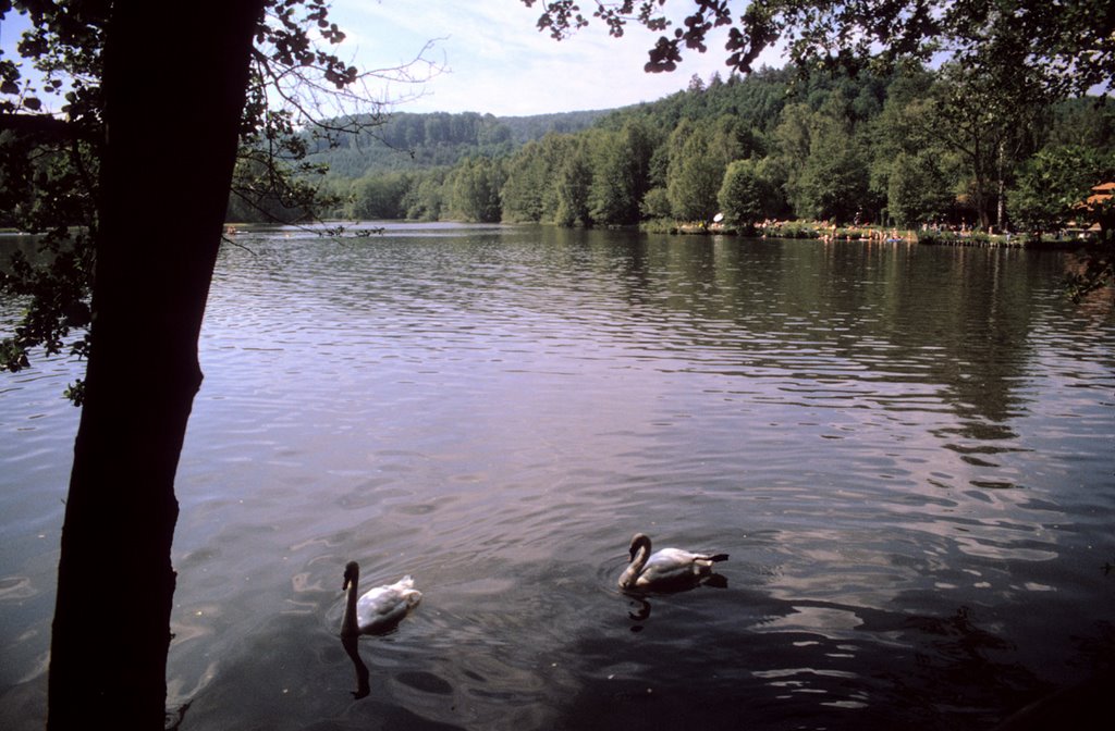 Schöntal-/"Lagerweiher" bei Ludwigswinkel, D by roland.fr