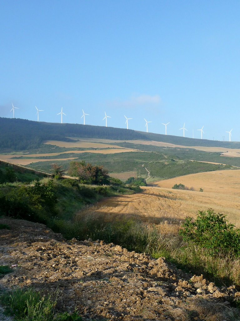 Camino 2008 - to Alto de Perdon by jumiru