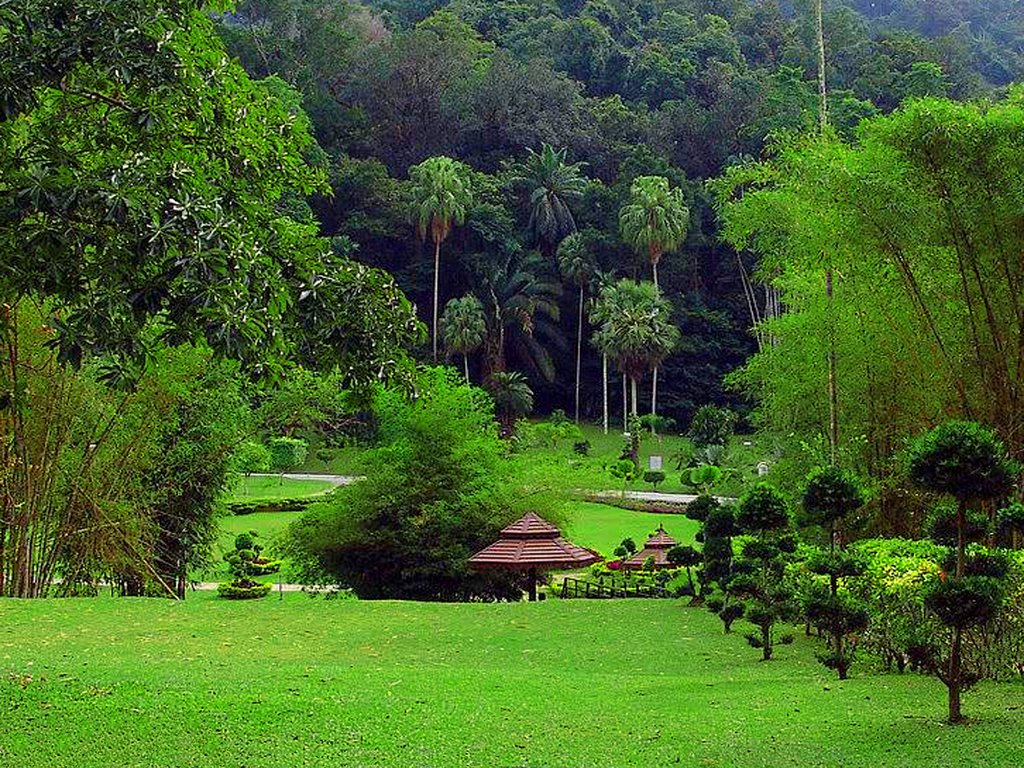 Botanical garden by mahmoodjamal