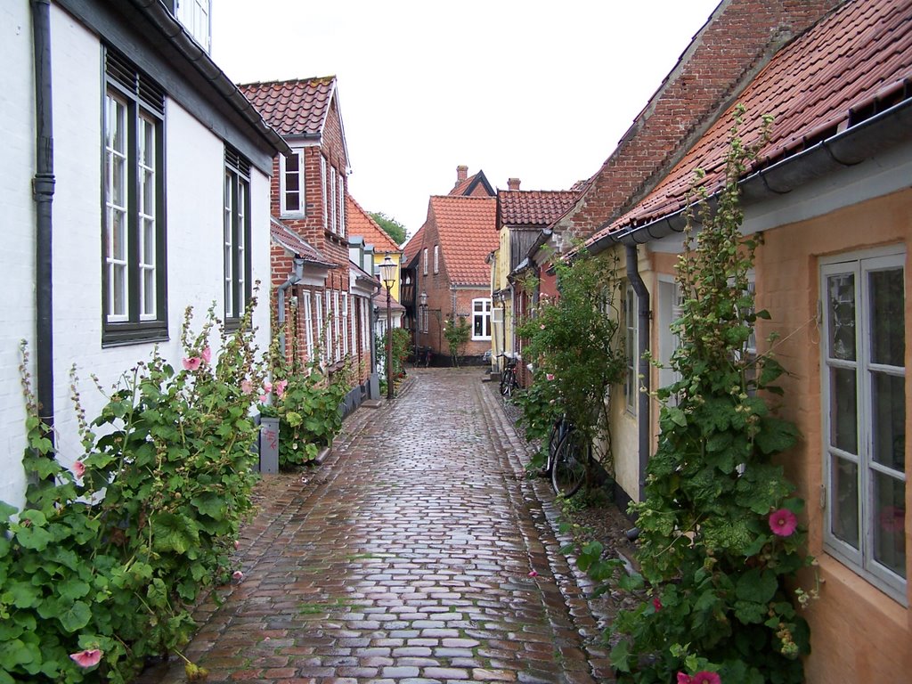 Ribe by mmayos