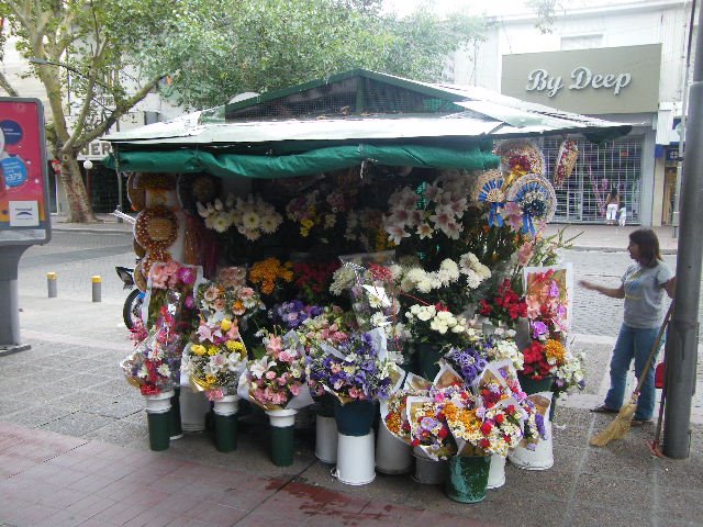 Puesto de Flores, Mendoza, Argentina by iic_2008