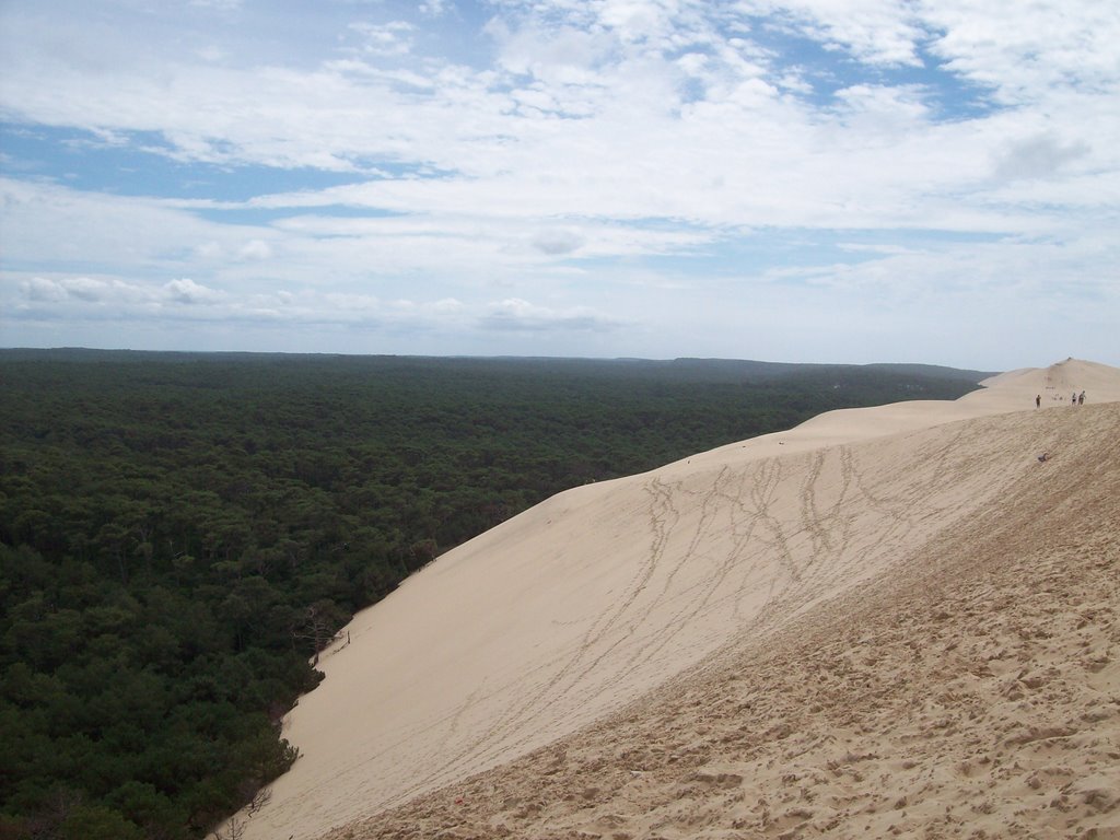 La dune du Pyla by Sebastien Dery