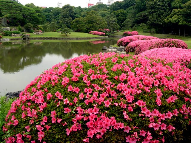 Rikugi-en 六義園 by 2894