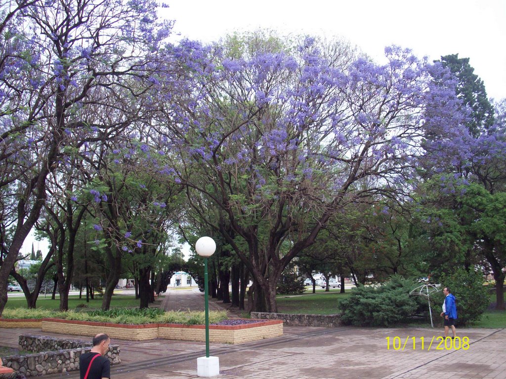 La plaza by gabriel_avaro