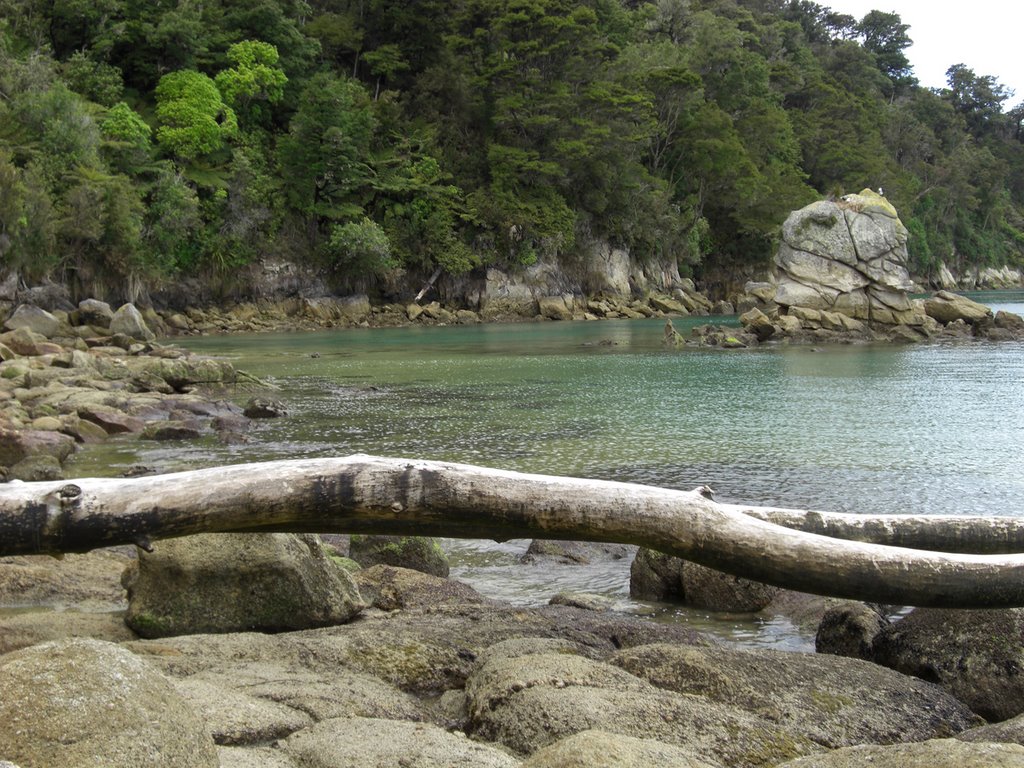 Coquille Bay, Abel Tazmen by Ollie Downing