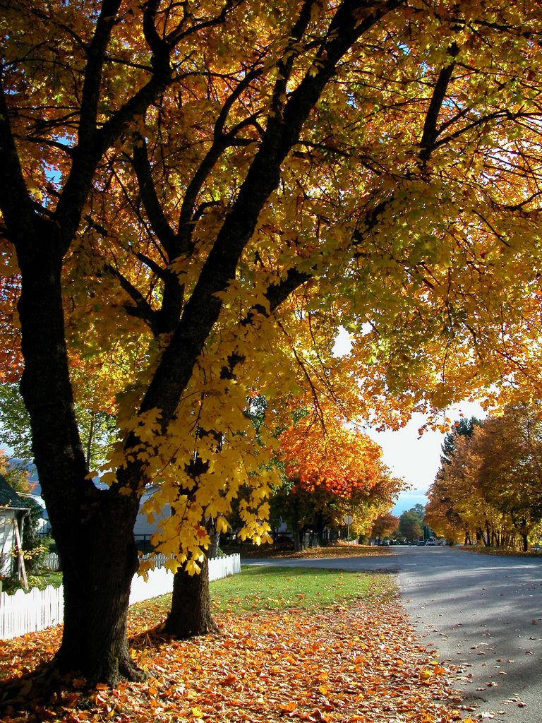 Nakusp, BC V0G, Canada by Deb Booth