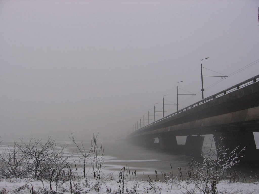 Bridge in winter fog by Naris Indāns