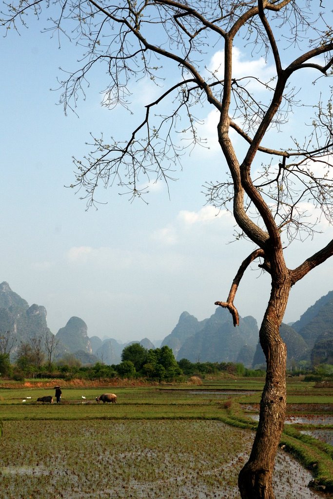 Yulong River Valley by Vojta Srejber