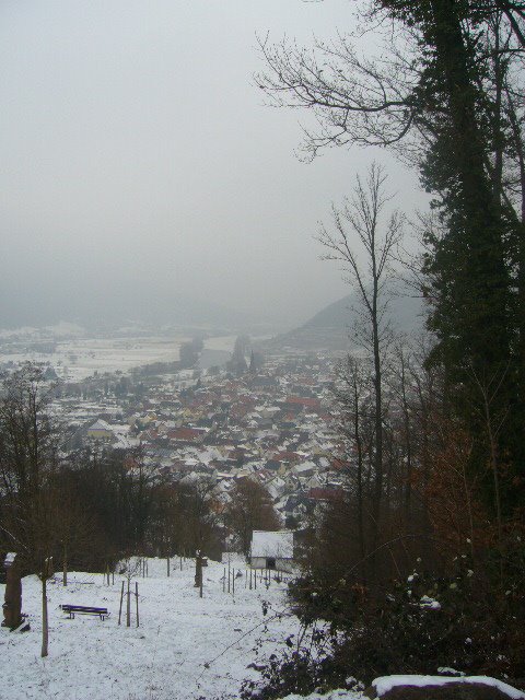 Januar 2009: Großheubach, in der Bildmitte erkennt man den teilweise zugefrorenen Main by kdh865