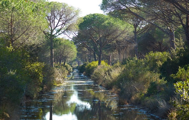 Il canale lungo la strada che porta al mare by Beppe Miceli