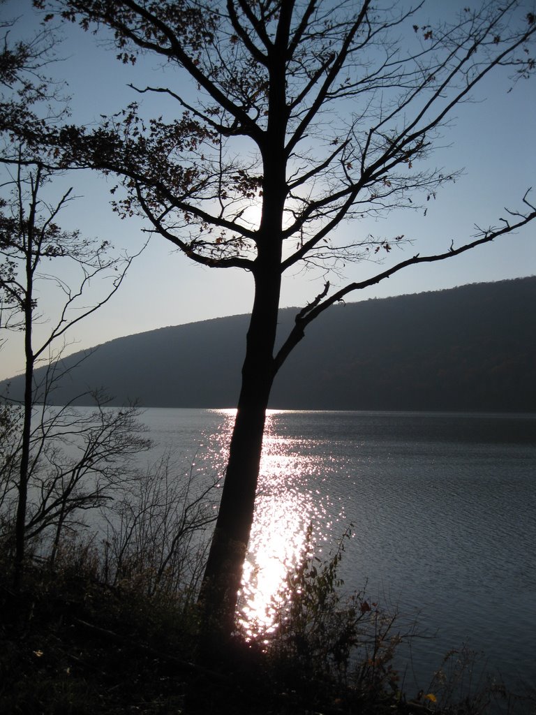 A sentinel watching over Canadice Lake by t.l.finch