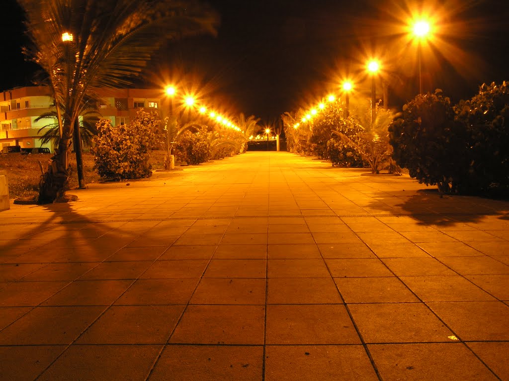 Paseo nocturno 24-01-2009 (Arinaga) by SergioCarr