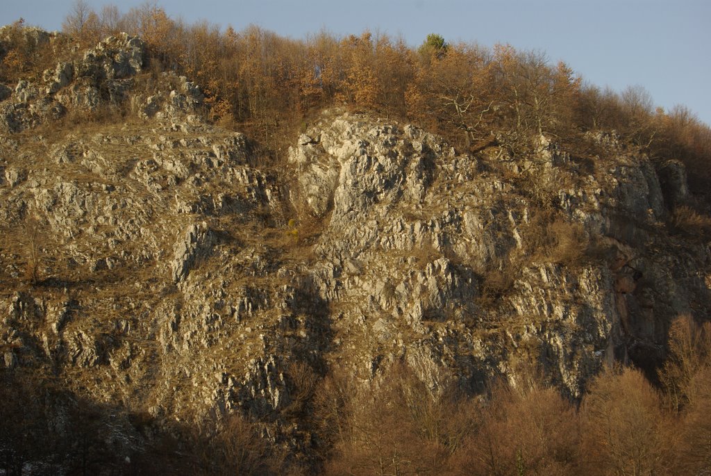 Suncuius, Romania by László Márton Valyuc…