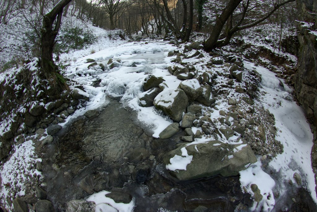 Suncuius, Romania by László Márton Valyuc…