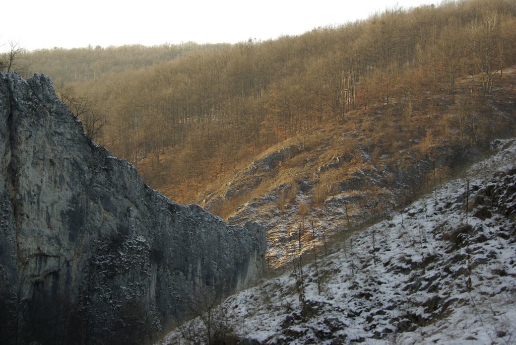 Suncuius, Romania by László Márton Valyuc…