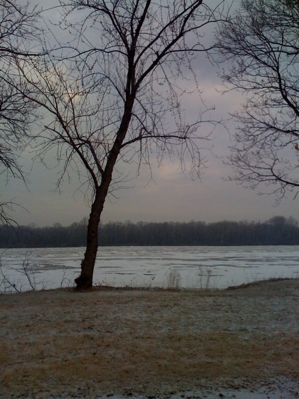 FROZEN RANCOCAS CREEK by royalodoyle