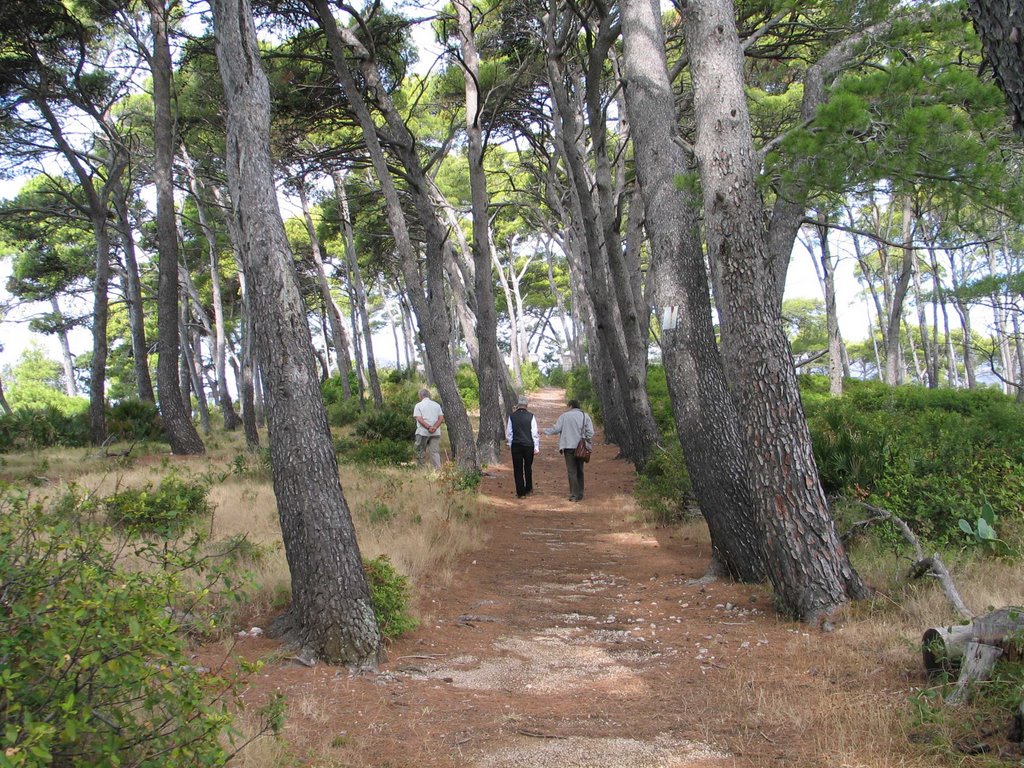 Daksa (2008.g.): grobište komunističkih zločina 1944.g. by safko01