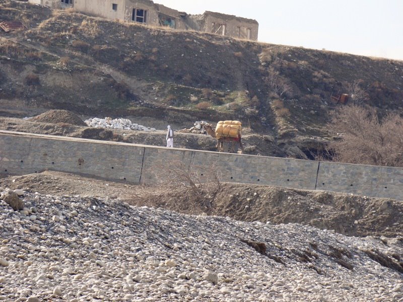 A man and a camel near Sayad Bridge by Masoud Akbari