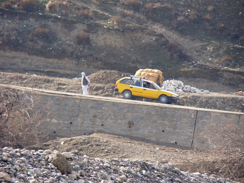 A man and a camel near Sayad Bridge by Masoud Akbari