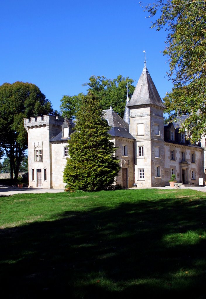 Beaumont-du-Lac : château de l'île de Vassivière by macrobert