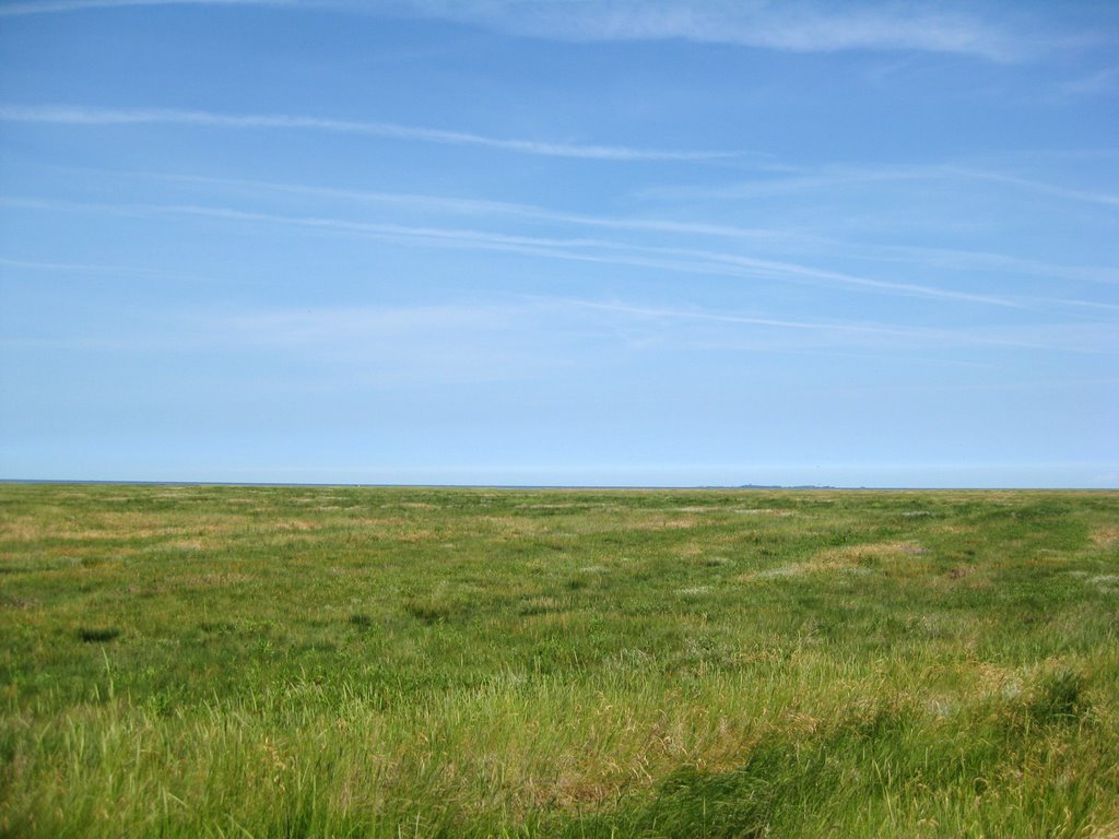 Arensch - Salzwiesengebiet vor dem Wattenmeer (Schutzgebiet) by Robert-68