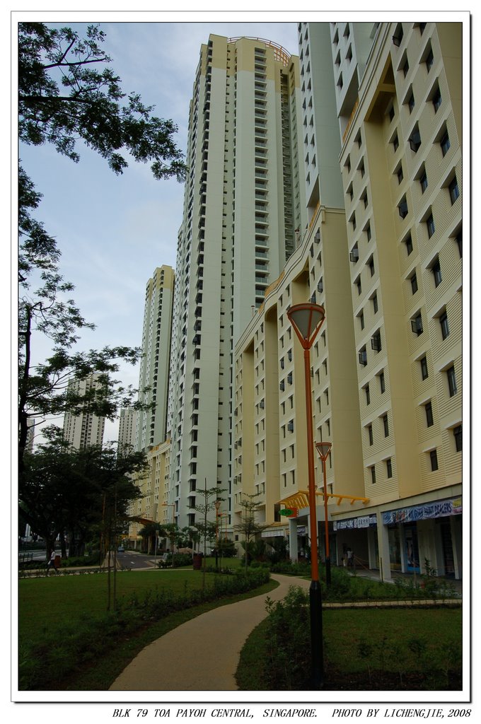 BLK 79 TOAPAYOH CENTRAL by lichengjie