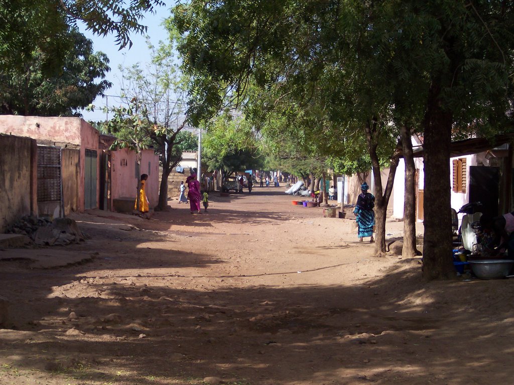 Street in Bamako, Mali by mart van der niet