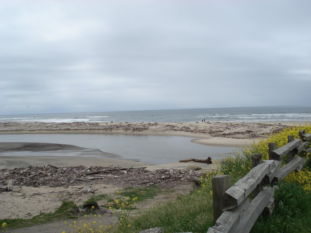 San Gregorio State Beach by Mike Ambs