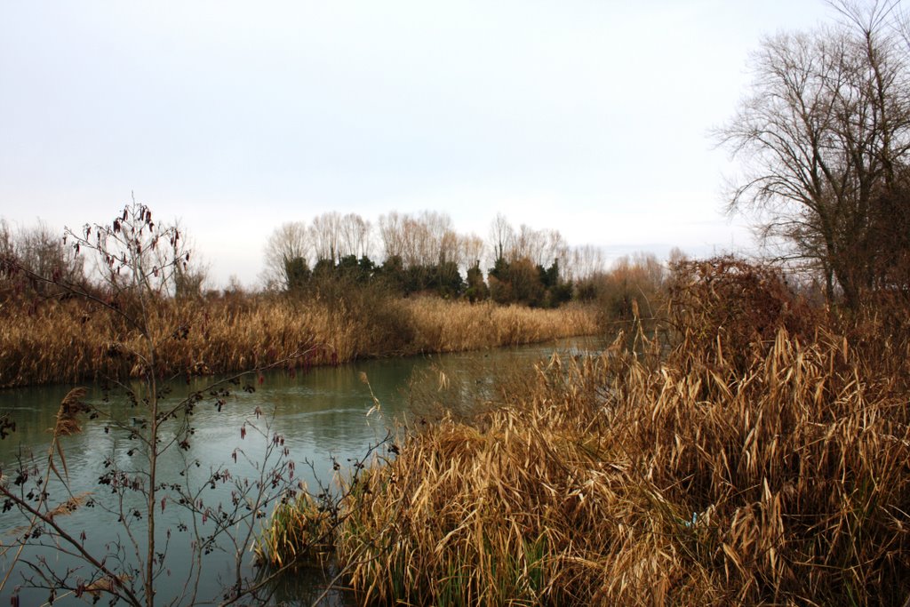 Parco del sile by lucio fuser